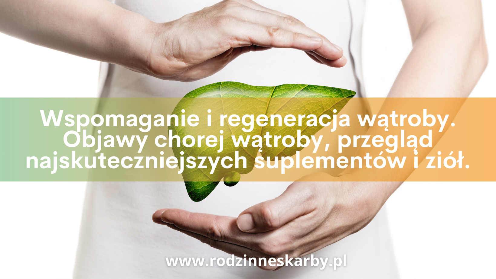 Wspomaganie i regeneracja wątroby