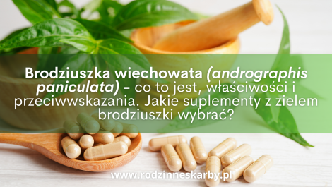 brodziuszka wiechowata andrographis paniculata co to jest wlasciwosci i przeciwwskazania-jakie suplementy z zielem brodziuszki wybrac