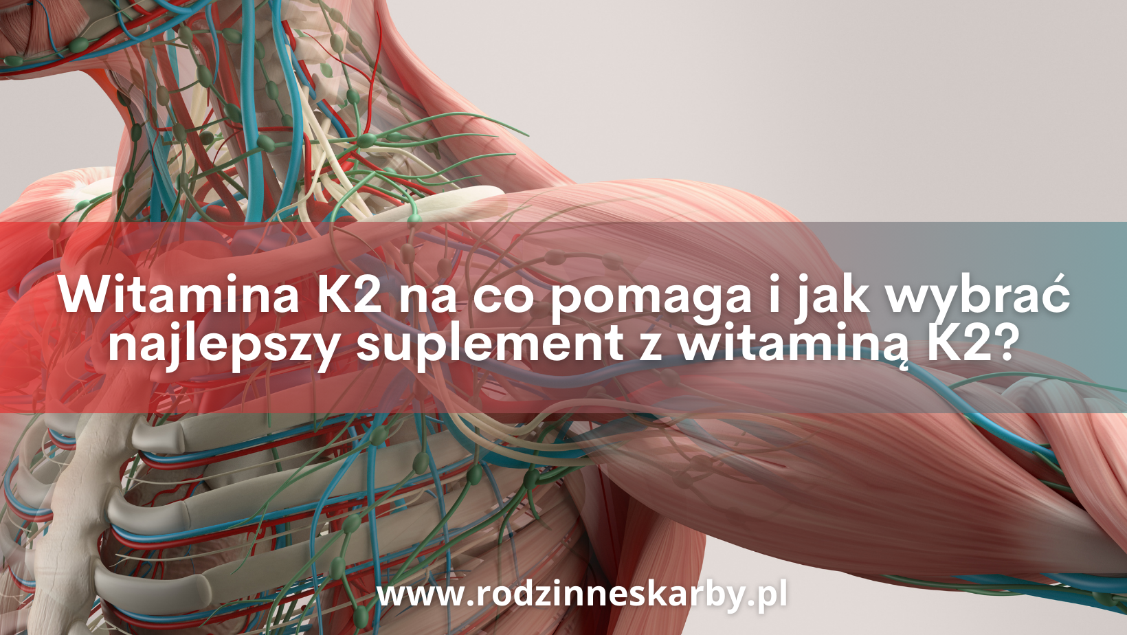 Witamina K2 na co pomaga i jak wybrać najlepszy suplement z witaminą K2?