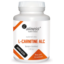 l karnityna l carnitine alc 500 mg 100 kaps vege aliness